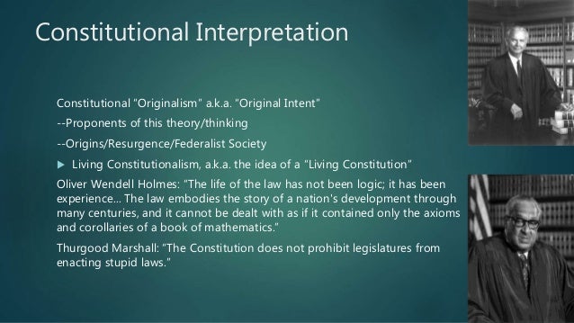 Judicial Review And Constitutional Interpretation