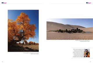 This desert oasis stands lush and verdant against the
inhospitable backdrop encircling it.
CSOFT's resident photographer Feng
Gang was born in Xinjiang Province
and later moved to the Beijing to
study at the Beijing Film Academy. In
addition to capturing stunning images
of China’s unique scenery, Feng has
also lent his talents to the corporate
and entertainment worlds, taking
photographs for many internationally
recognized companies and celebrities.
The shining golden hues of this poplar’s leaves announce
autumn's arrival in the desert.
52 53
 