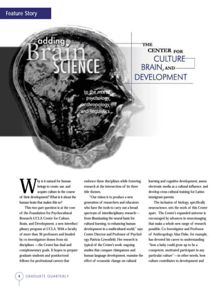 4 GRADUATE QUARTERLY
W
hy is it natural for human
beings to create, use, and
acquire culture in the course
of their development? What is it about the
human brain that makes this so?
This two-part question is at the core
of the Foundation for Psychocultural
Research-UCLA Center for Culture,
Brain, and Development, a new interdisci-
plinary program at UCLA. With a faculty
of more than 30 professors and headed
by co-investigators drawn from six
disciplines —the Center has dual and
complementary goals. It hopes to prepare
graduate students and postdoctoral
fellows for professional careers that
embrace these disciplines while fostering
research at the intersection of its three
title themes.
“Our vision is to produce a new
generation of researchers and educators
who have the tools to carry out a broad
spectrum of interdisciplinary research—
from illuminating the neural basis for
cultural learning, to enhancing human
development in a multicultural world,” says
Center Director and Professor of Psychol-
ogy Patricia Greenfield. Her research is
typical of the Center’s work: ongoing
studies that compare chimpanzee and
human language development, examine the
effect of economic change on cultural
learning and cognitive development, assess
electronic media as a cultural influence, and
develop cross-cultural training for Latino
immigrant parents.
The inclusion of biology, specifically
neuroscience, sets the work of this Center
apart. The Center’s expanded universe is
encouraged by advances in neuroimaging
that make a whole new range of research
possible. Co-Investigator and Professor
of Anthropology Alan Fiske, for example,
has devoted his career to understanding
“how a baby could grow up to be a
competent, motivated participant in any
particular culture”—in other words, how
culture contributes to development and
Feature Story
 