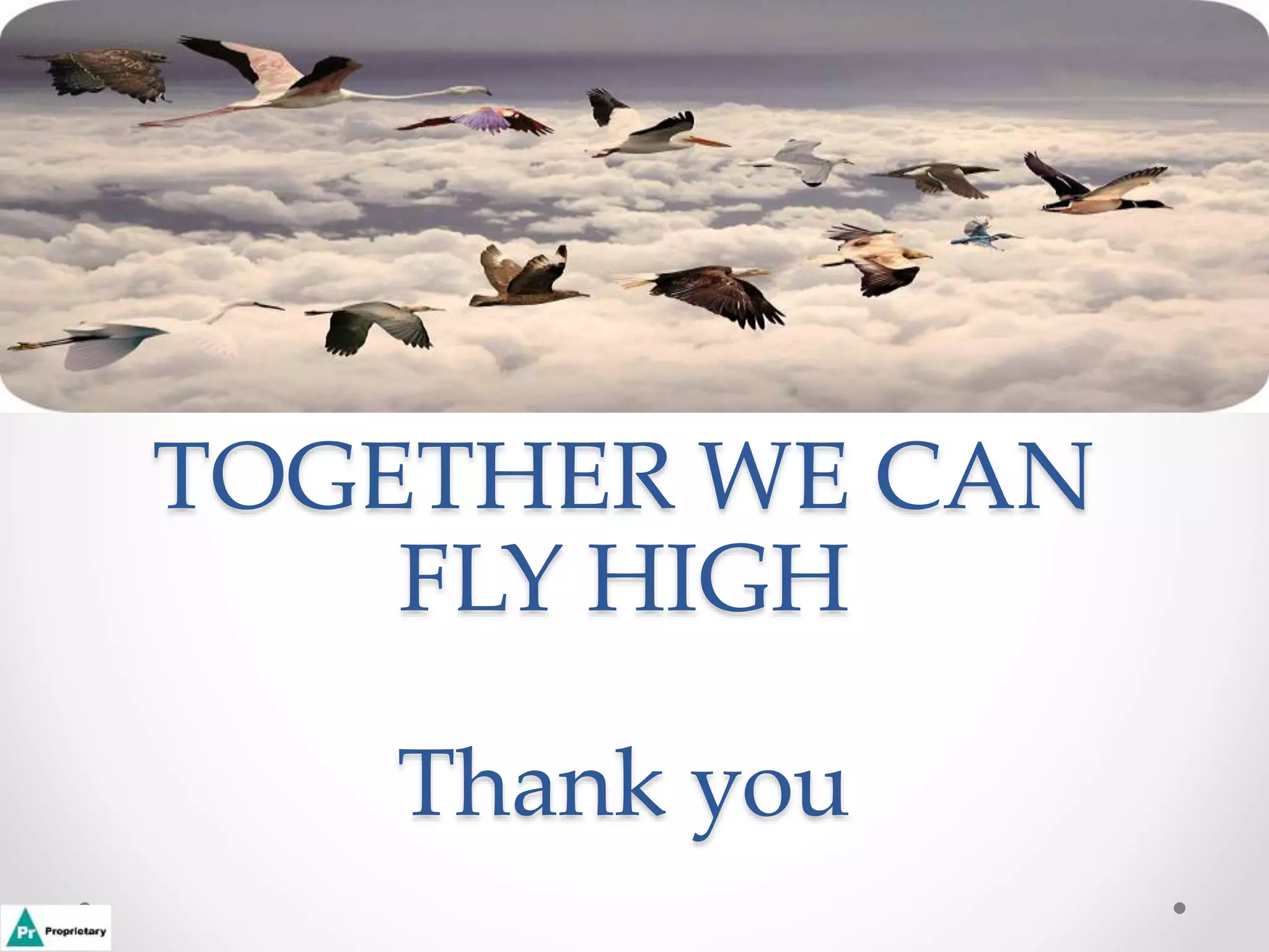 TOGETHER WE CAN
FLY HIGH
Thank you
 