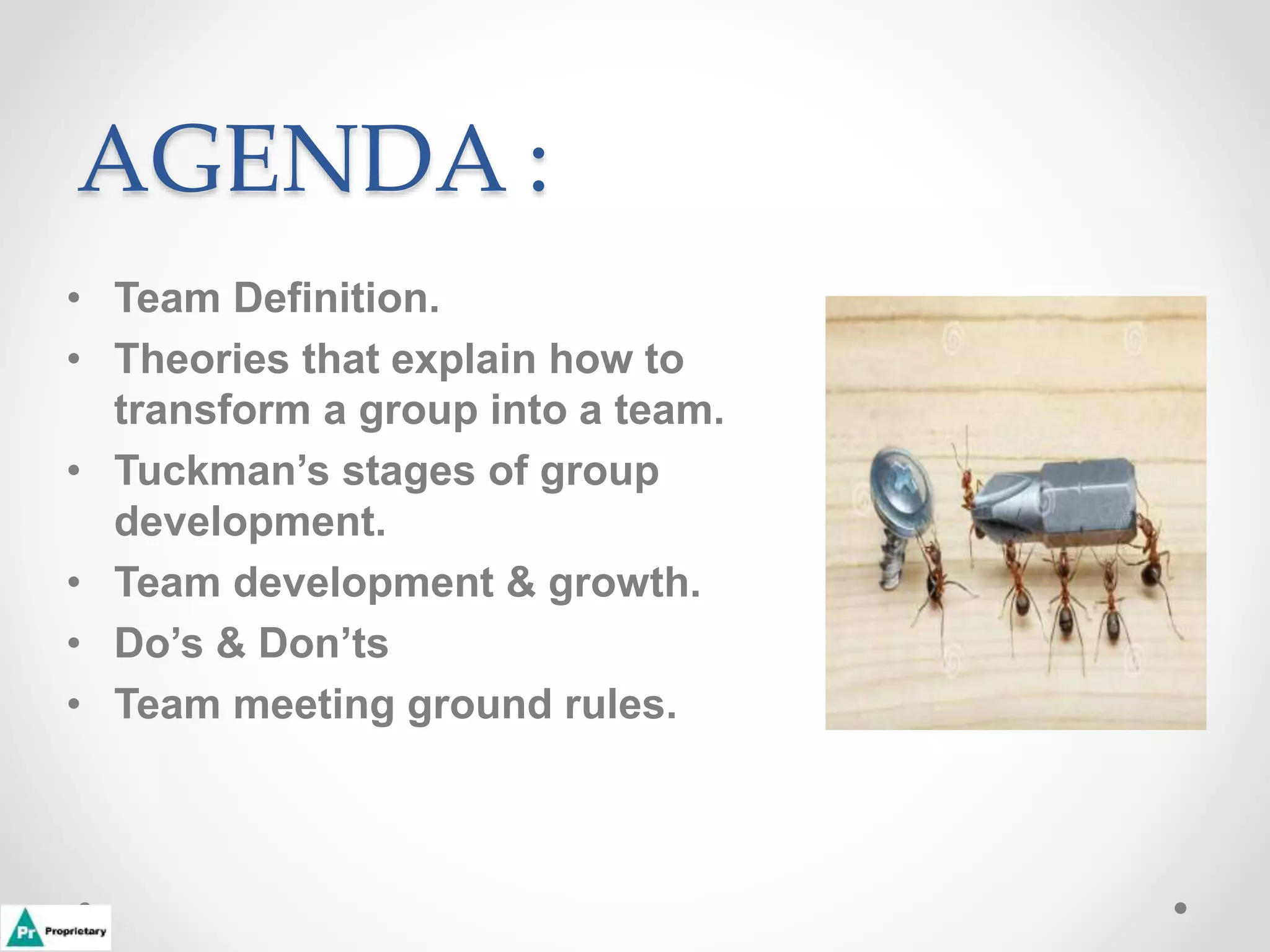 AGENDA :
• Team Definition.
• Theories that explain how to
transform a group into a team.
• Tuckman’s stages of group
development.
• Team development & growth.
• Do’s & Don’ts
• Team meeting ground rules.
 