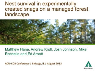 Nest survival in experimentally
created snags on a managed forest
landscape
Matthew Hane, Andrew Kroll, Josh Johnson, Mike
Rochelle and Ed Arnett
AOU/COS Conference | Chicago, IL | August 2013
 