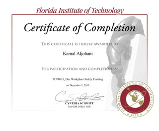 Safety Certificate.PDF