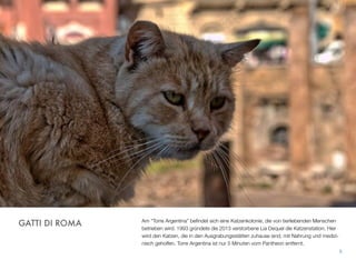 Am “Torre Argentina” beﬁndet sich eine Katzenkolonie, die von tierliebenden Menschen
betrieben wird. 1993 gründete die 2013 verstorbene Lia Dequel die Katzenstation. Hier
wird den Katzen, die in den Ausgrabungsstätten zuhause sind, mit Nahrung und medizi-
nisch geholfen. Torre Argentina ist nur 5 Minuten vom Pantheon entfernt.
8
GATTI DI ROMA
 
