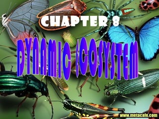 CHAPTER 8
 