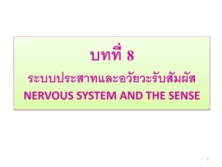 1 
บทที่ 8 
ระบบประสาทและอวัยวะรับสัมผัส 
NERVOUS SYSTEM AND THE SENSE 
 