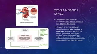 ΧΡΌΝΙΑ ΝΕΦΡΙΚΉ
ΝΌΣΟΣ
•Η αθηροσκλήρωση μπορεί να
προκαλέσει στένωση των αρτηριών
που οδηγούν στα νεφρά.
•Η στένωση αυτών των αρτηριών
εμποδίζει αρκετό αίμα πλούσιο σε
οξυγόνο να φτάσει στα νεφρά. Τα
νεφρά χρειάζονται αρκετή ροή
αίματος για να βοηθήσουν στο
φιλτράρισμα των αποβλήτων και στην
απομάκρυνση των περιττών υγρών.
 