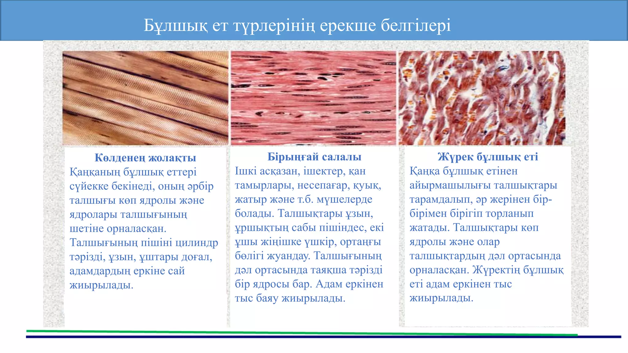 Оның еркінен тыс