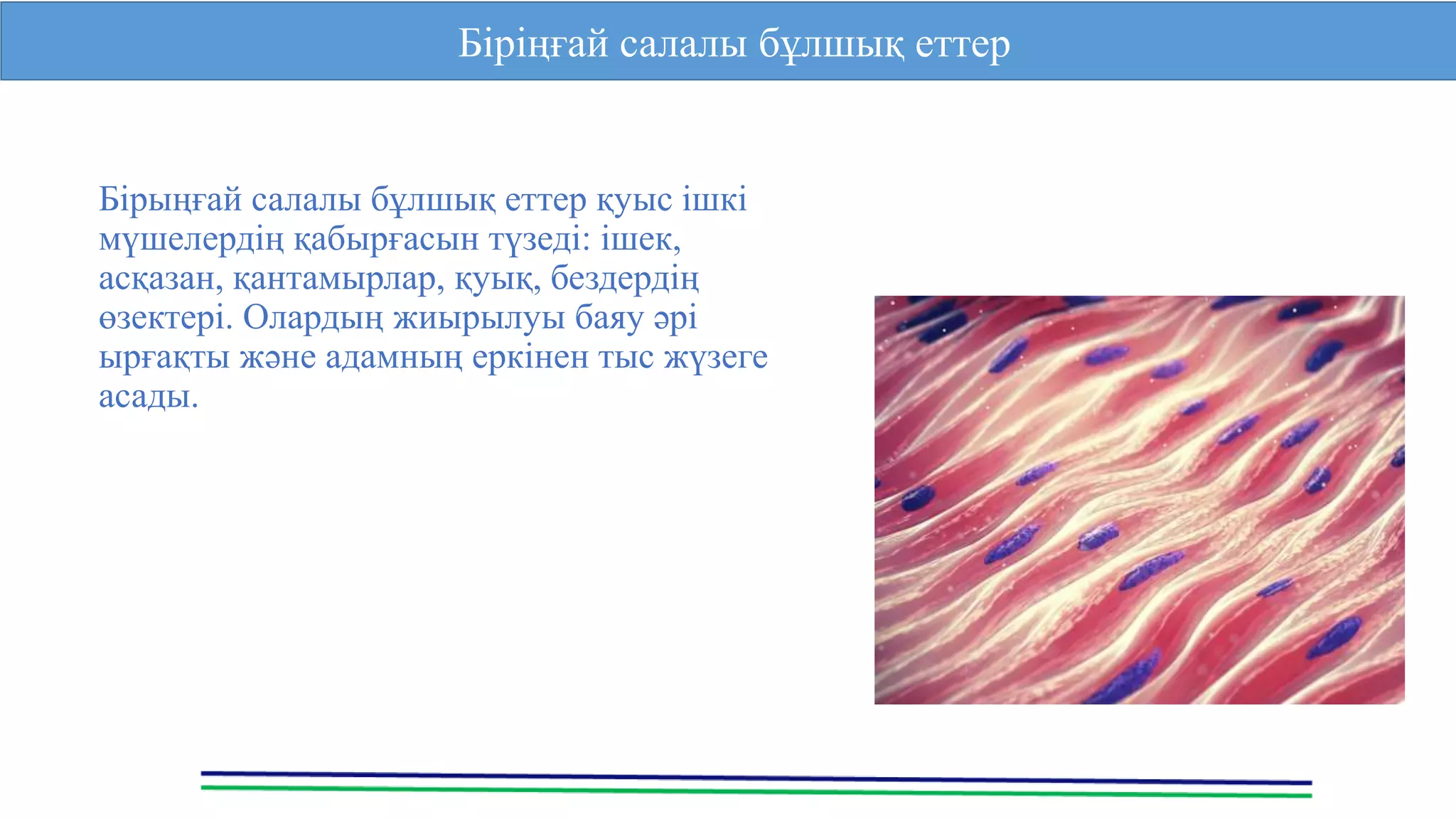 Маймыл секс порно онлайн көру