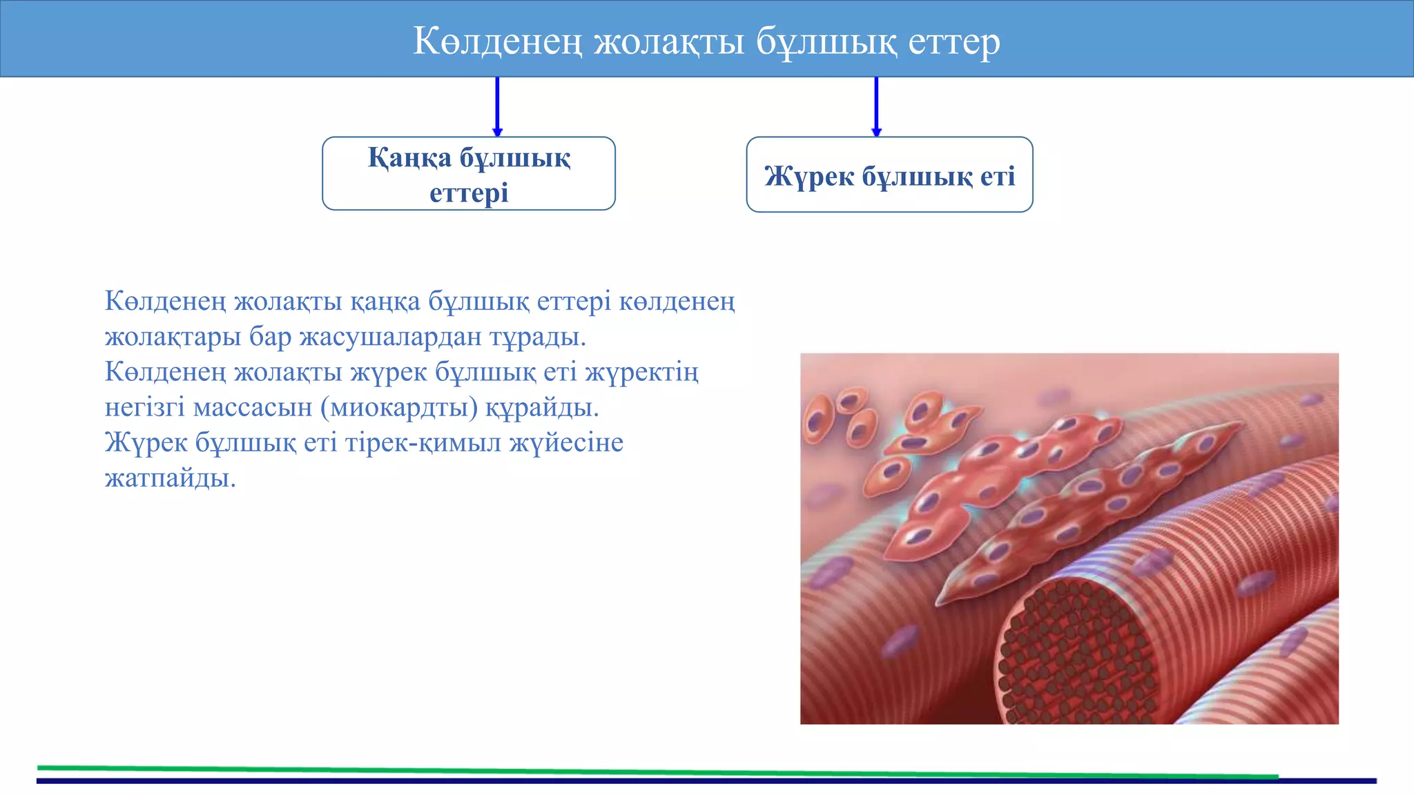 Ресейлік тележүргізушілердің экспозициялары