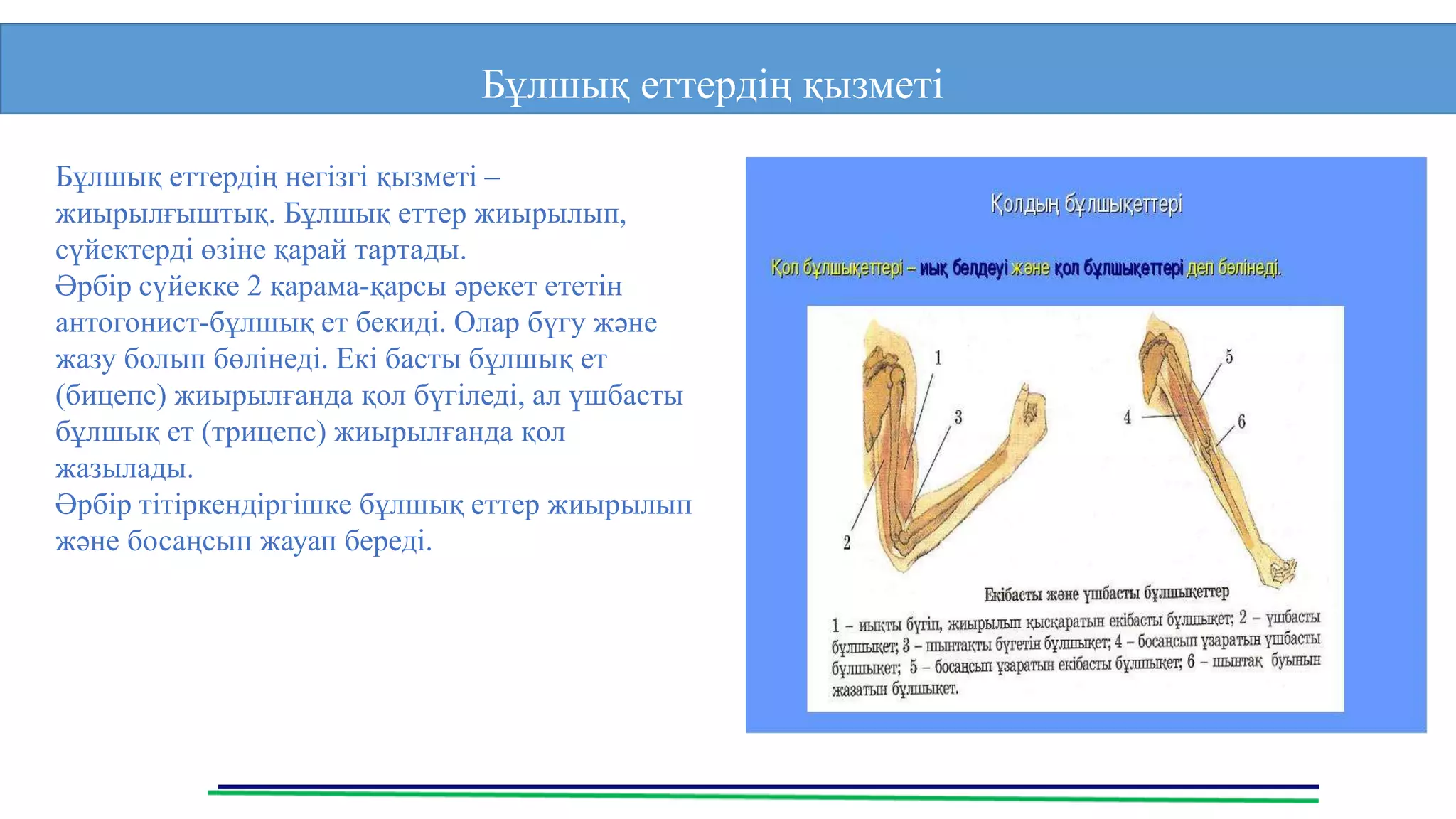 Орта жастағы әйелдердің эротикалық фотосуреттері