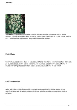 Anasonul




Anasonul (Pimpinella anisum) este o planta ierboasa anuala, exclusiv de cultura, foarte
aromata, cu tulpina cilindrica goala in interior, ramificata si inalta pana la 75 cm.  Florile sunt de
mici  dimensiuni, de culoare alba,  dispuse sub forma de umbrela.




Parti utilizate




Semintele, culese toamna dupa ce s-au scuturat florile. Recoltarea semintelor se face dimineata
pe roua sau seara, pentru a evita pierderile prin scuturare. Se adminsitreaza sub forma de
infuzie dintr-o lingurita de seminte la o cana cu apa, sau sub forma de ulei volatil.




Compozitia chimica




Semintele contin 2-5% ulei esential, format din 90% anetol, care confera plantei aroma
specifica. Semintele de anason mai contin: lipide, proteine, amidon, substante minerale, si
zaharuri.




                                                                                                 1/3
 