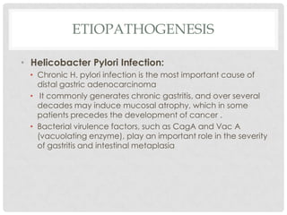 ETIOPATHOGENESIS

• Helicobacter Pylori Infection:
  • Chronic H. pylori infection is the most important cause of
    distal gastric adenocarcinoma
  • It commonly generates chronic gastritis, and over several
    decades may induce mucosal atrophy, which in some
    patients precedes the development of cancer .
  • Bacterial virulence factors, such as CagA and Vac A
    (vacuolating enzyme), play an important role in the severity
    of gastritis and intestinal metaplasia
 