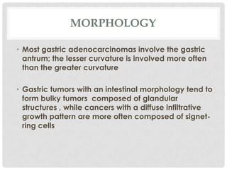 MORPHOLOGY

• Most gastric adenocarcinomas involve the gastric
  antrum; the lesser curvature is involved more often
  than the greater curvature

• Gastric tumors with an intestinal morphology tend to
  form bulky tumors composed of glandular
  structures , while cancers with a diffuse infiltrative
  growth pattern are more often composed of signet-
  ring cells
 