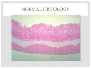 NORMAL HISTOLOGY
 