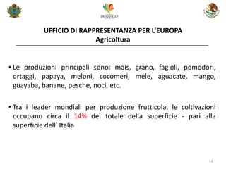 UFFICIO DI RAPPRESENTANZA PER L’EUROPA Agricoltura 
14 
•Le produzioni principali sono: mais, grano, fagioli, pomodori, ortaggi, papaya, meloni, cocomeri, mele, aguacate, mango, guayaba, banane, pesche, noci, etc. 
•Tra i leader mondiali per produzione frutticola, le coltivazioni occupano circa il 14% del totale della superficie - pari alla superficie dell’ Italia  