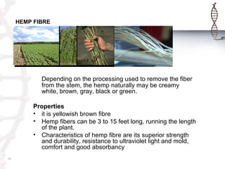 HEMP FIBRE
14
Depending on the processing used to remove the fiber
from the stem, the hemp naturally may be creamy
white, brown, gray, black or green.
Properties
• it is yellowish brown fibre
• Hemp fibers can be 3 to 15 feet long, running the length
of the plant.
• Characteristics of hemp fibre are its superior strength
and durability, resistance to ultraviolet light and mold,
comfort and good absorbancy
 
