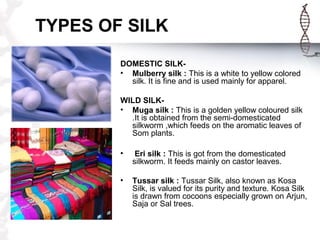 TYPES OF SILK
DOMESTIC SILK-
• Mulberry silk : This is a white to yellow colored
silk. It is fine and is used mainly for apparel.
WILD SILK-
• Muga silk : This is a golden yellow coloured silk
.It is obtained from the semi-domesticated
silkworm ,which feeds on the aromatic leaves of
Som plants.
• Eri silk : This is got from the domesticated
silkworm. It feeds mainly on castor leaves.
• Tussar silk : Tussar Silk, also known as Kosa
Silk, is valued for its purity and texture. Kosa Silk
is drawn from cocoons especially grown on Arjun,
Saja or Sal trees.
 