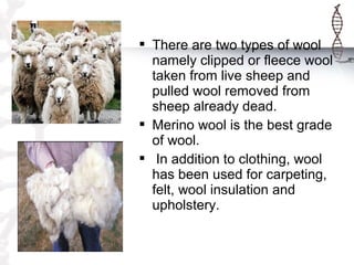  There are two types of wool
namely clipped or fleece wool
taken from live sheep and
pulled wool removed from
sheep already dead.
 Merino wool is the best grade
of wool.
 In addition to clothing, wool
has been used for carpeting,
felt, wool insulation and
upholstery.
 
