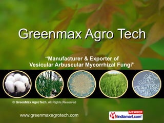 Greenmax Agro Tech “ Manufacturer & Exporter of Vesicular Arbuscular Mycorrhizal Fungi” 