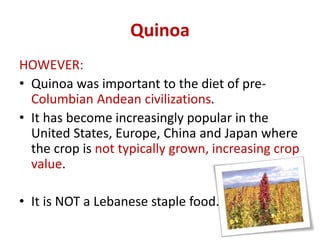 Quinoa
HOWEVER:
• Quinoa was important to the diet of pre-
Columbian Andean civilizations.
• It has become increasingly po...
