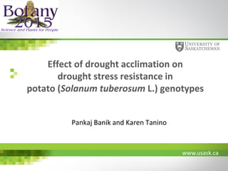 www.usask.ca
Effect of drought acclimation on
drought stress resistance in
potato (Solanum tuberosum L.) genotypes
Pankaj Banik and Karen Tanino
 