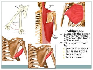 811_Anatomy-of-shoulder-joint.ppt