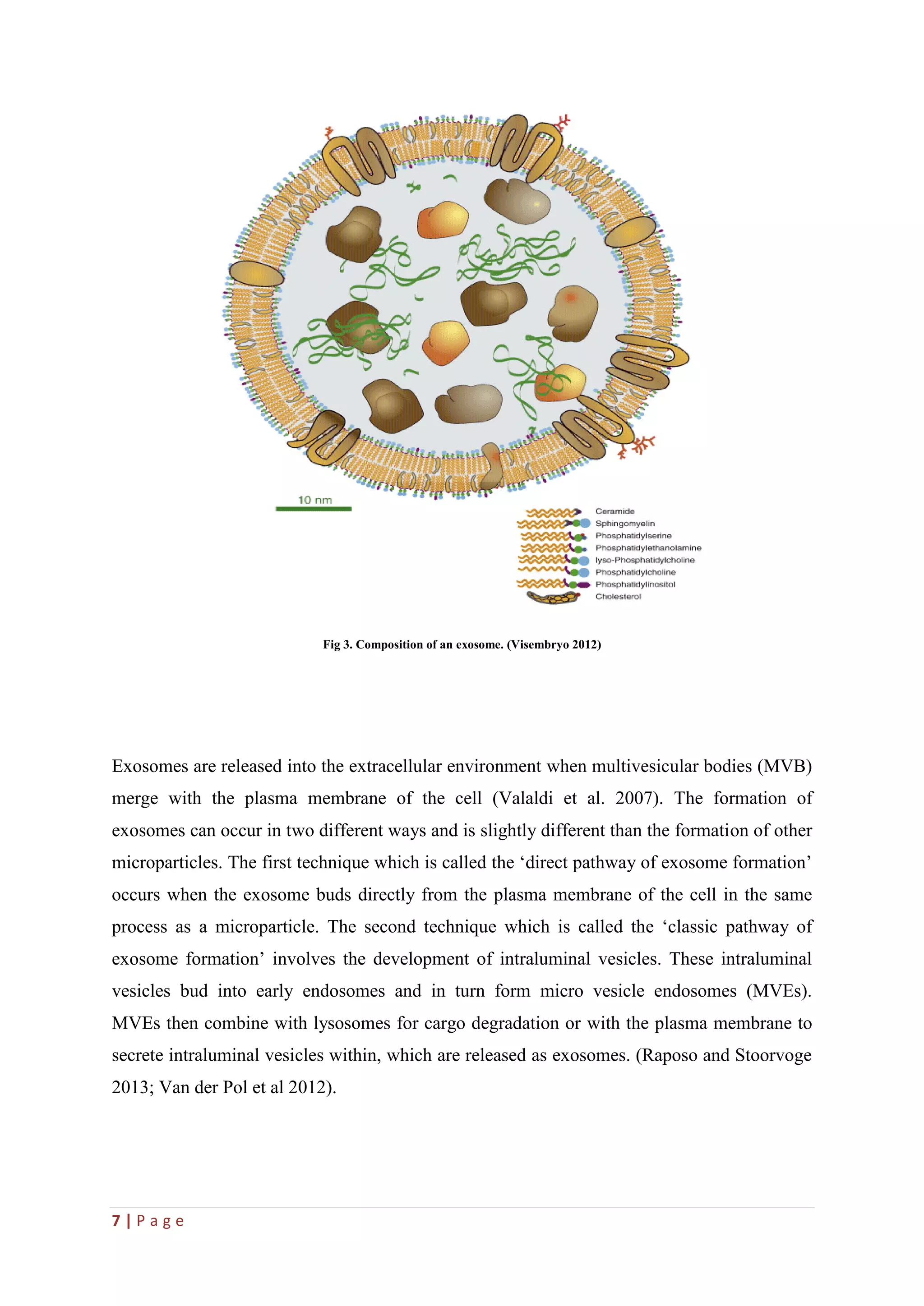 7 | P a g e
Fig 3. Composition of an exosome. (Visembryo 2012)
Exosomes are released into the extracellular environment when multivesicular bodies (MVB)
merge with the plasma membrane of the cell (Valaldi et al. 2007). The formation of
exosomes can occur in two different ways and is slightly different than the formation of other
microparticles. The first technique which is called the ‘direct pathway of exosome formation’
occurs when the exosome buds directly from the plasma membrane of the cell in the same
process as a microparticle. The second technique which is called the ‘classic pathway of
exosome formation’ involves the development of intraluminal vesicles. These intraluminal
vesicles bud into early endosomes and in turn form micro vesicle endosomes (MVEs).
MVEs then combine with lysosomes for cargo degradation or with the plasma membrane to
secrete intraluminal vesicles within, which are released as exosomes. (Raposo and Stoorvoge
2013; Van der Pol et al 2012).
 
