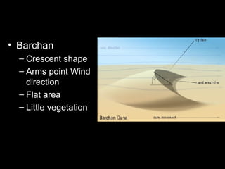 Barchan Crescent shape Arms point Wind direction Flat area Little vegetation