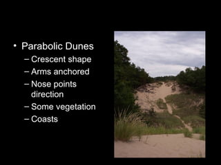 Parabolic Dunes Crescent shape Arms anchored Nose points direction Some vegetation Coasts