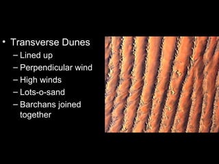 Transverse Dunes Lined up Perpendicular wind High winds Lots-o-sand Barchans joined together