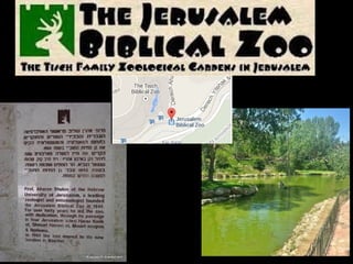 813 biblical zoo