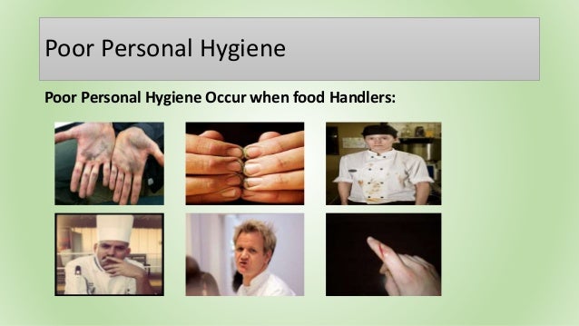 Food Safety Hygiene food-safety-hygiene
