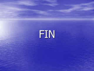 FIN
 