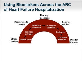 Acute Heart Failure Current Perspectives
