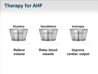 Acute Heart Failure Current Perspectives
