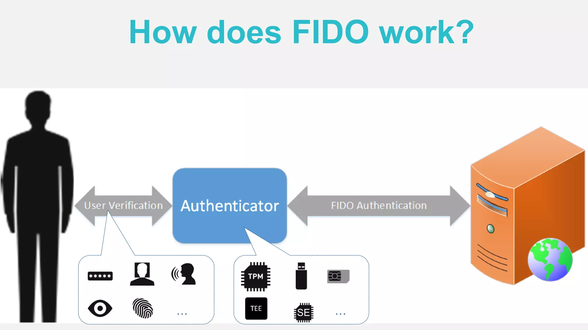 How does FIDO work?
… …SE
 