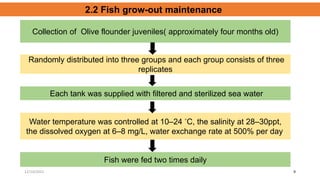 9
Collection of Olive flounder juveniles( approximately four months old)
Fish were fed two times daily
Randomly distribute...