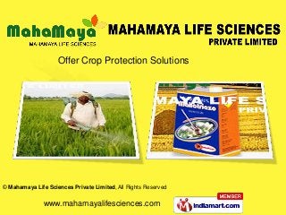 Offer Crop Protection Solutions




© Mahamaya Life Sciences Private Limited, All Rights Reserved


               www.mahamayalifesciences.com
 