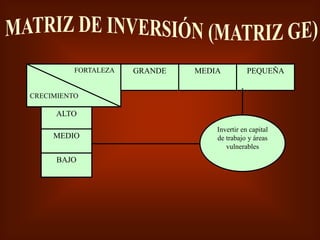 GRANDE MEDIA PEQUEÑA
ALTO
BAJO
MEDIO
FORTALEZA
CRECIMIENTO
Invertir en capital
de trabajo y áreas
vulnerables
 