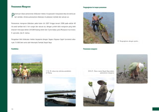 10
Penanaman Mangrove
P
enentuan lokasi penanaman dilakukan melalui musyawarah masyarakat desa terutama pe­
tani tambak, dimana penanaman dilakukan di pelataran tambak dan saluran air.
Penanaman mangrove dilakukan pada bulan Juli 2007 hingga Januari 2008 pada sekitar 60
Ha areal tambak dan 2 km sungai dan saluran air, dengan jumlah bibit mangrove yang telah
ditanam mencapai sekitar 220.000 batang terdiri dari 3 jenis bakau yaitu Rhizopora mucronata,
R. apiculata, dan R. stylosa.
Pengadaan bibit dilakukan melalui kerjasama dengan Yagasu (Yayasan Gajah Sumatera) seba­
nyak 72.000 bibit serta oleh Kelompok Tambak Deyah Raya.
Pembibitan
17
18
17  18. Lokasi dan aktivitas pembibitan
di Tibang
Pengangkutan ke tempat penanaman
19. Pengangkutan dengan perahu19
Penanaman mangrove
21
20
20  21. Peran wanita Deyah Raya dalam
penanaman mangrove
 