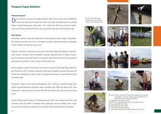 14
Pencapaian Program Rehabilitasi
Penanaman mangrove
D
ari penanaman mulai dari Juli hingga Desember 2007 telah tertanam sekitar 220000 bibit
mangrove di sekitar 60 Ha tambak dan saluran air (Sungai utama dan saluran air tambak)
dengan tingkat kelangsungan hidup sekitar 75%, namun dari bibit yang kering dan diperki­
rakan mati ternyata menghasilkan daun baru yang diperkirakan akan tumbuh dengan baik.		
Sosial ekonomi
Peningkatan ekonomi masyarakat tidak terlihat secara signifikan dalam program yang dilaku­
kan selama kurang lebih satu tahun ini disebabkan program utama pemberdayaan masyarakat
melalui budidaya tambak baru saja dimulai.
Program Conservation International Indonesia di desa Deyah Raya yang dilakukan secara ber­
sama dengan masyarakat telah menciptakan hubungan yang baik antara CI dengan masyara­
kat, serta pengurus desa Deyah Raya hal ini tergambar dalam peran bersama CI dan masyarakat
pada kegiatan peringatan 3 tahun tsunami di desa Deyah Raya.
Dalam rangkaian program Conservation International Indonesia di Desa Deyah Raya, pada tang­
gal 26 Desember 2007 CI dengan masyarakat Deyah Raya mengadakan kegiatan Renungan dan
Doa Bersama Mengenang 3 Tahun Tsunami dan Kegiatan Penanaman Cemara Pantai di Pantai
Desa Deyah Raya.
	
Peringatan 3 tahun tsunami yang diselenggarakan oleh CI bersama masyarakat Deyah Raya
dihadiri juga oleh beberapa stakeholder seperti perwakilan dari DPRD Kota Banda Aceh, Pusat
Pengendalian Lingkungan dan Konservasi BRR NAD-Nias, BKSDA NAD, dan Komunitas Suzuki
Jimny.
Kualitas ekologi selama program ini berlangsung juga belum menunjukkan perubahan yang
signifikan namun jika dilihat di beberapa lokasi penanaman terutama disekitar aliran sungai
dan saluran air banyak kita jumpai anak ikan belanak, kakap berenang disekitar mangrove.
3635
33
41
39
37
34
40
30 31
32
38
30, 31  32. Bibit yang
diperkirakan mati ternyata
dapat tumbuh dengan baik
33  34. Direktur Terestrial CI Indonesia, Bapak Didy Wurjanto
memberikan sambutan pada acara Doa Bersama di
Mesjid Al-Kawakib Desa Deyah Raya
35. Kegiatan penanaman cemara
36  37. Komunitas Off Road Suzuki Jimny Banda Aceh
38. Perwakilan BRR NAD-Nias
39. Ketua Pemuda Deyah Raya
40. Perwakilan Desa Deyah Raya
41. Perwakilan LANTAK komunitas Off Road Suzuki Jimny
 