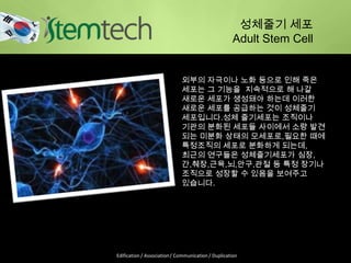 성체줄기 세포
Adult Stem Cell
외부의 자극이나 노화 등으로 인해 죽은
세포는 그 기능을 지속적으로 해 나갈
새로운 세포가 생성돼야 하는데 이러한
새로운 세포를 공급하는 것이 성체줄기
세포입니다.성체 줄기세포는 조직이나
기관의 분화된 세포들 사이에서 소량 발견
되는 미분화 상태의 모세포로,필요한 때에
특정조직의 세포로 분화하게 되는데,
최근의 연구들은 성체줄기세포가 심장,
간,췌장,근육,뇌,안구,관절 등 특정 장기나
조직으로 성장할 수 있음을 보여주고
있습니다.
Edification / Association / Communication / Duplication
 