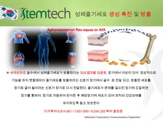 Aphanizomenon flos-aquae or AFA
 세계최초로 골수에서 성체줄기세포가 방출된다는 임상결과를 입증함, 장기에서 이상이 있어 정상적으로
기능을 하지 못할때마다 줄기세포를 방출하라는 신호가 장기에서 골수 로 전달 되고, 방출된 세포를
장기로 끌어 들이려는 신호가 장기로 다시 전달된다. 줄기세포가 문제를 일으킨 장기에 도달하면
장기를 통하여 장기로 이동하여 번식한 후 해당장기에 세포가 되여 최적의 건강상태를
유지하도록 돕고 보조한다
미국특허 6,814,961 / 7,651,690 / 8,034,328 특허 출원중
Edification / Association / Communication / Duplication
성체줄기세포 생성 촉진 및 방출
 