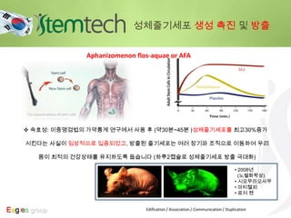  속효성: 이중맹검법의 가약통계 연구에서 사용 후 (약30분~45분 )성체줄기세포를 최고30%증가
시킨다는 사실이 임상적으로 입증되었고, 방출된 줄기세포는 여러 장기와 조직으로 이동하여 우리
몸이 최적의 건강상태를 유지하도록 돕습니다 (하루2캡슐로 성체줄기세포 방출 극대화)
Edification / Association / Communication / Duplication
• 2008년
(노벨화학상)
• 시모무라오사무
• 마티첼피
• 로저 첸
Eagles group
성체줄기세포 생성 촉진 및 방출
Aphanizomenon flos-aquae or AFA
 