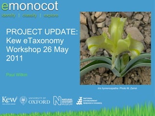 PROJECT UPDATE: Kew eTaxonomy Workshop 26 May 2011 Paul Wilkin Iris hymenospatha . Photo M. Zarrei 