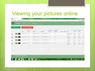 Viewing your pictures online
 
