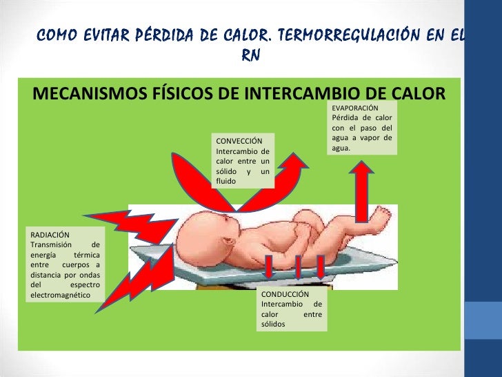 Como evitar perdida de calor. termorregulacion - CICAT-SALUD