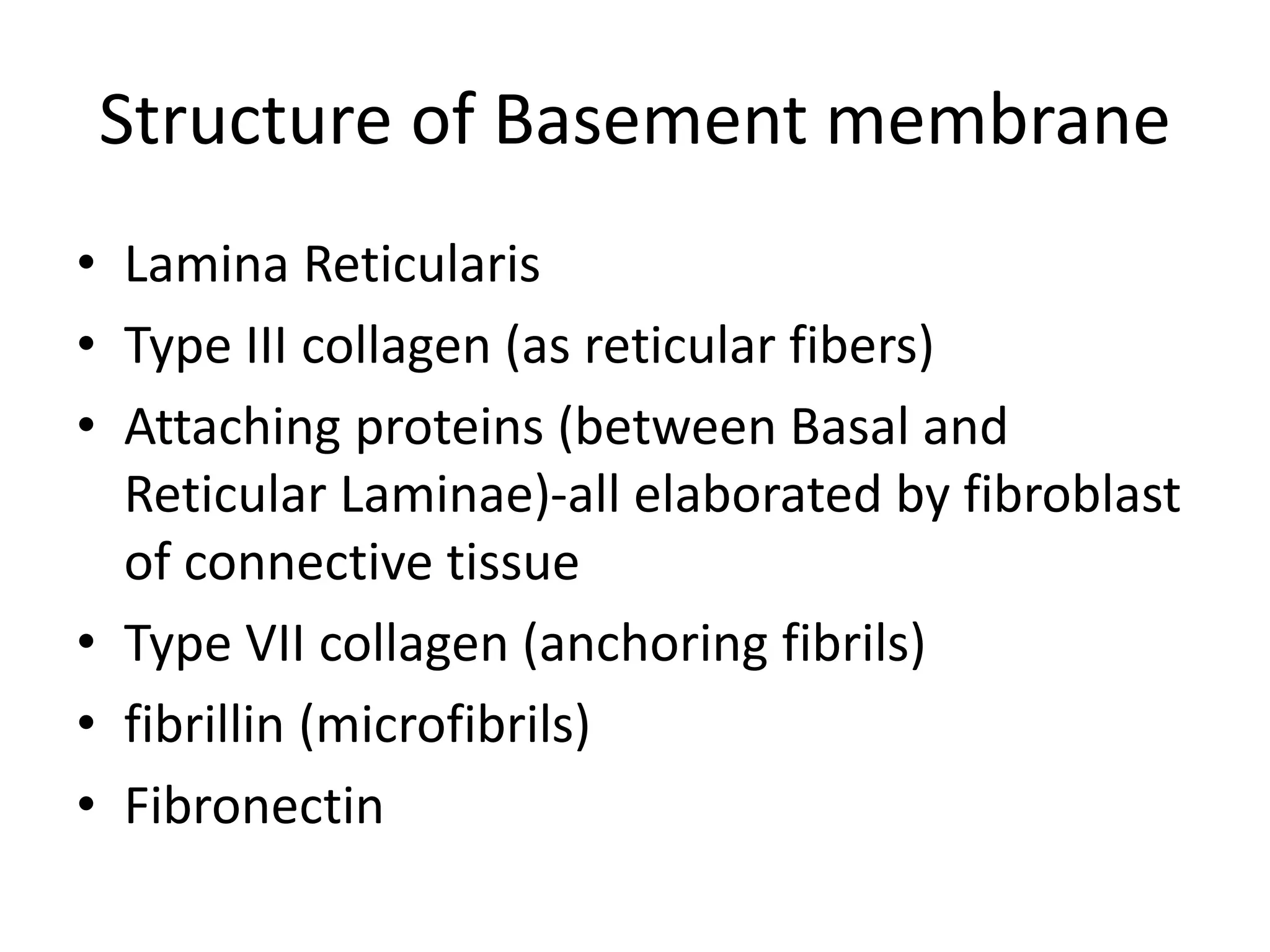 Structure of Basement membrane
• Lamina Reticularis
• Type III collagen (as reticular fibers)
• Attaching proteins (between Basal and
Reticular Laminae)-all elaborated by fibroblast
of connective tissue
• Type VII collagen (anchoring fibrils)
• fibrillin (microfibrils)
• Fibronectin
 