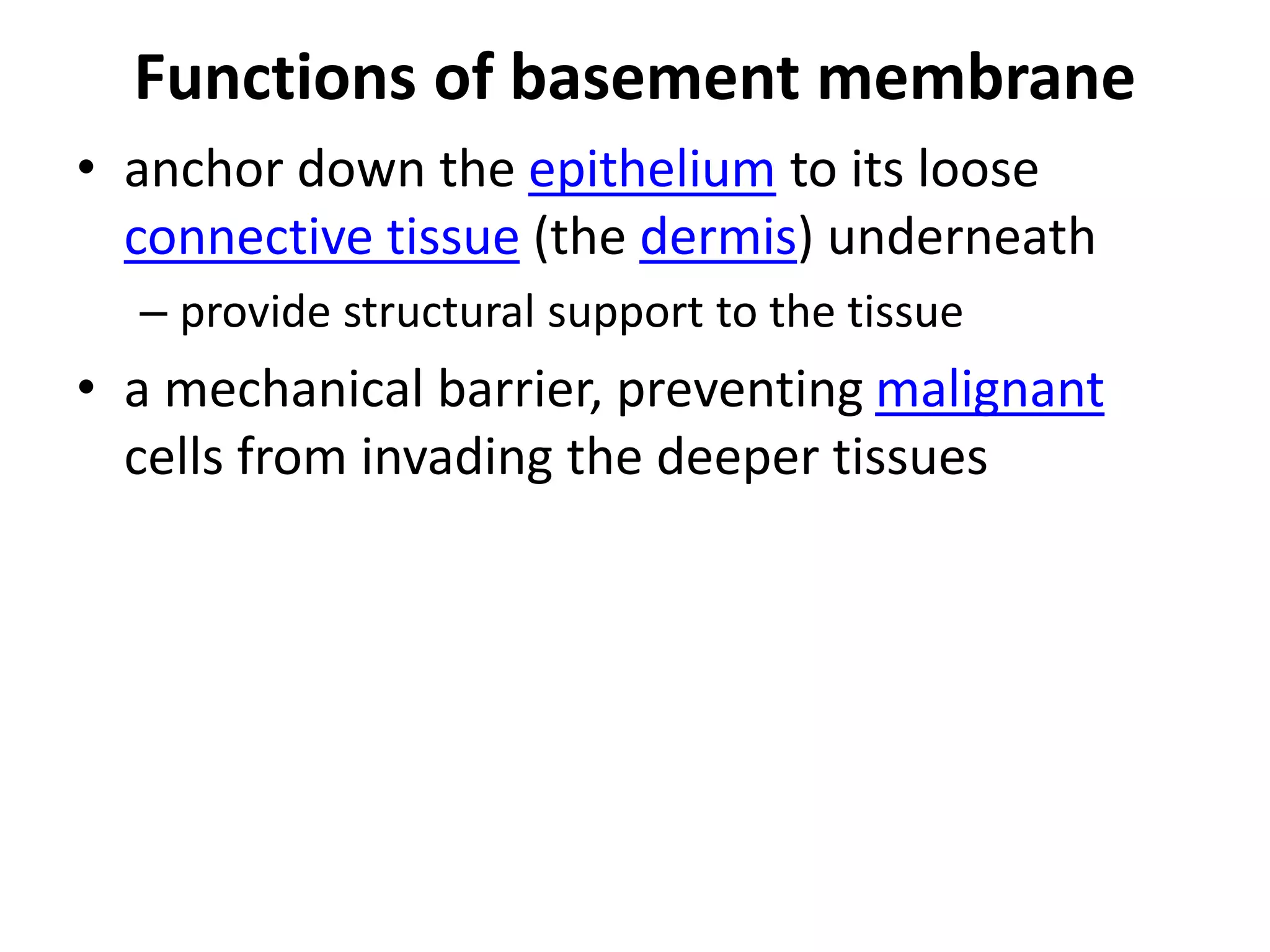 Functions of basement membrane
• anchor down the epithelium to its loose
connective tissue (the dermis) underneath
– provide structural support to the tissue
• a mechanical barrier, preventing malignant
cells from invading the deeper tissues
 